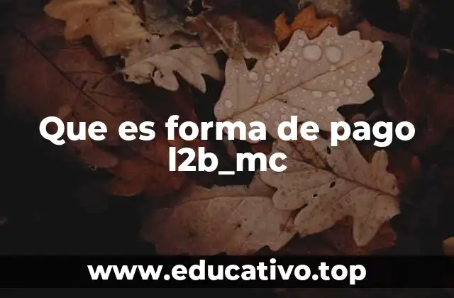 Que es forma de pago l2b_mc