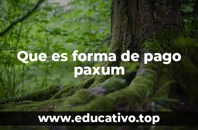 Que es forma de pago paxum