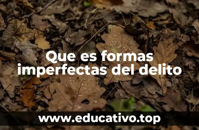 Que es formas imperfectas del delito