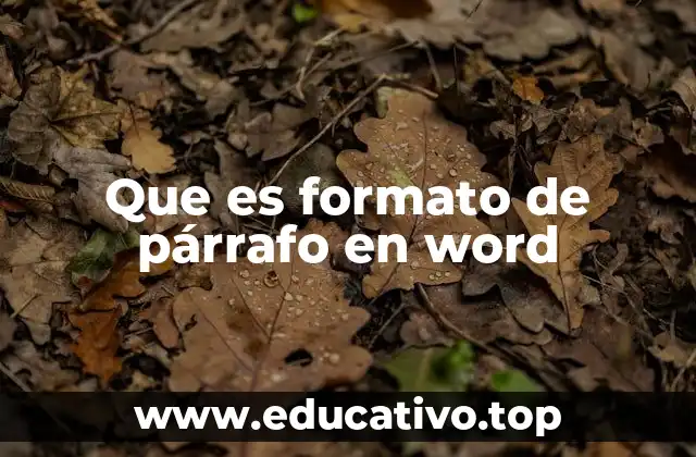 Que es formato de párrafo en word