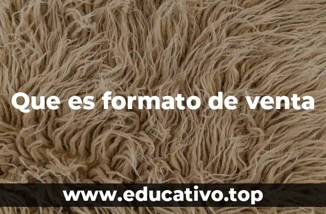 Que es formato de venta