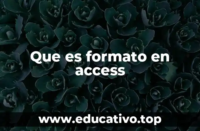 Que es formato en access