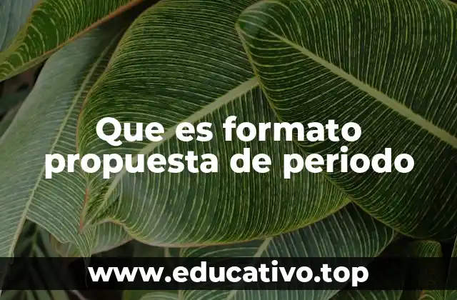 Que es formato propuesta de periodo