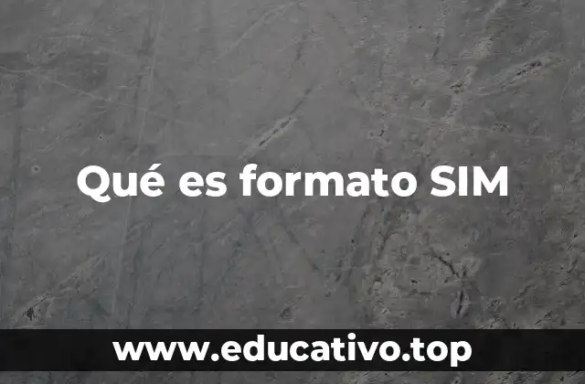 Qué es formato SIM
