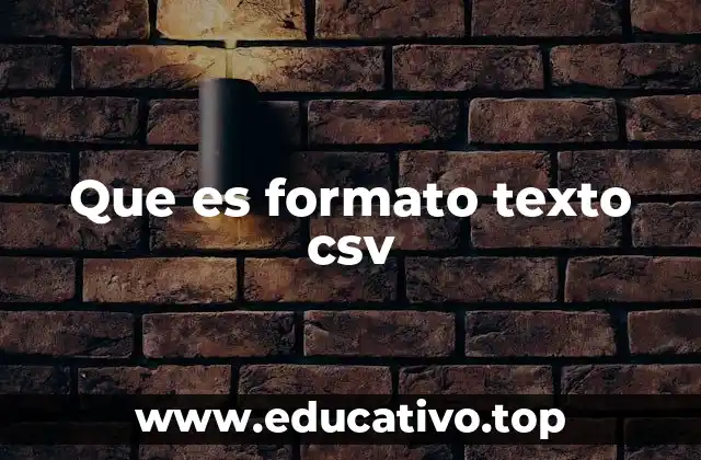 Que es formato texto csv