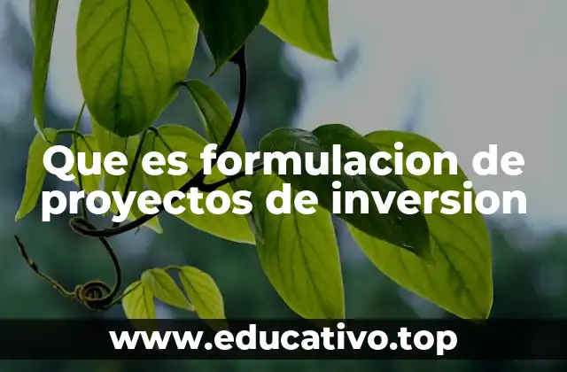 Que es formulacion de proyectos de inversion