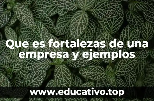 Que es fortalezas de una empresa y ejemplos