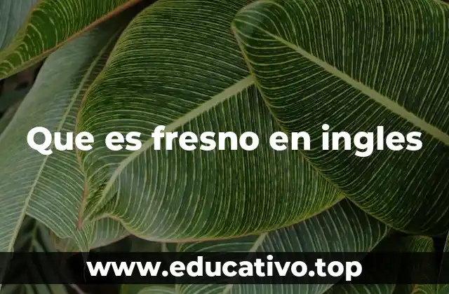 Que es fresno en ingles