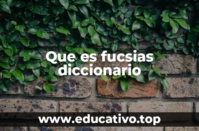 Que es fucsias diccionario