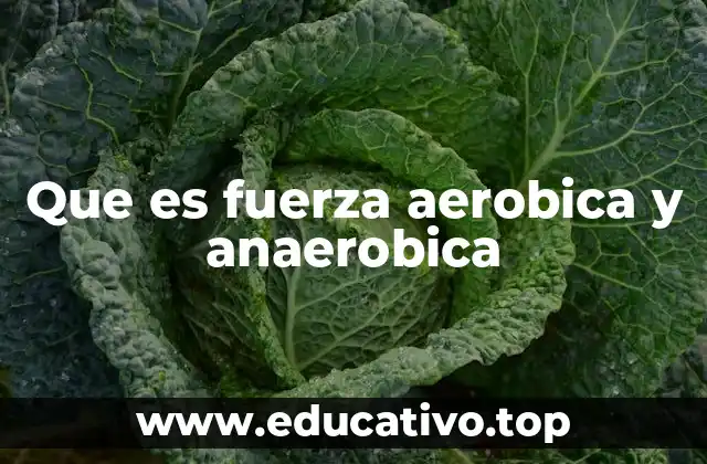 Que es fuerza aerobica y anaerobica