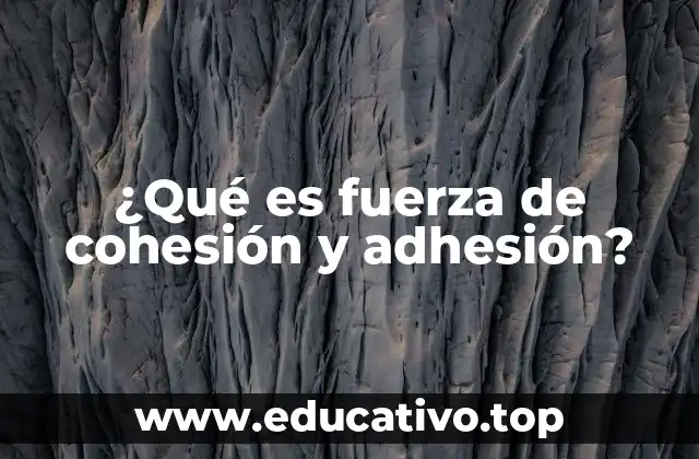 ¿Qué es fuerza de cohesión y adhesión?