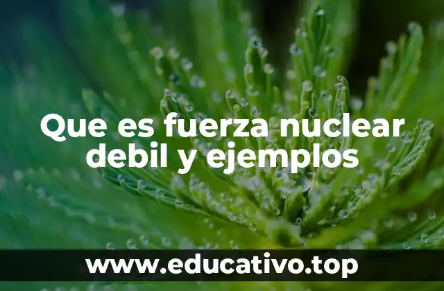 La importancia de la fuerza nuclear débil en la física de partículas
