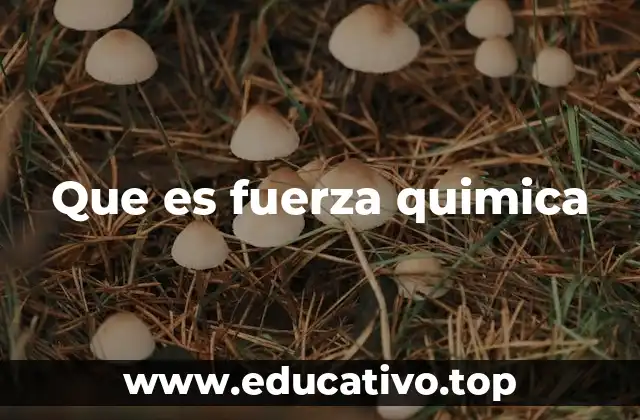 Tipos de enlaces y su relación con la fuerza química