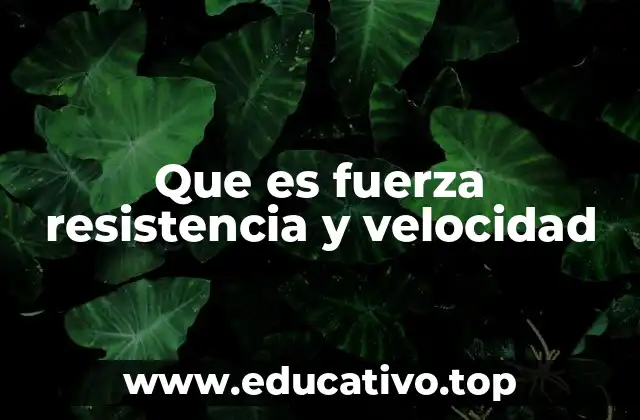 Que es fuerza resistencia y velocidad