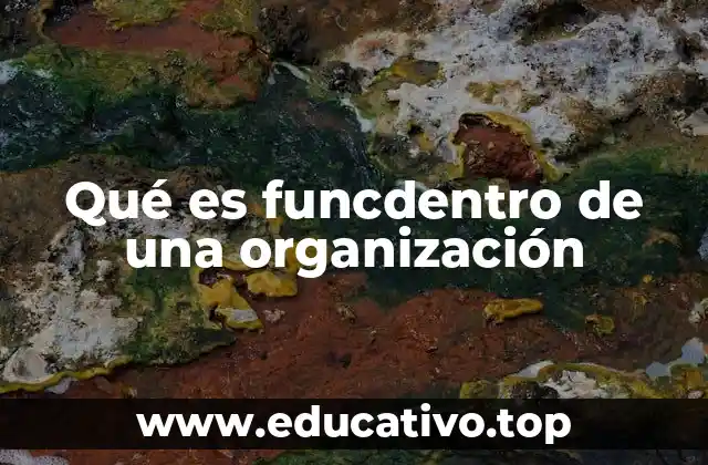 Qué es funcdentro de una organización