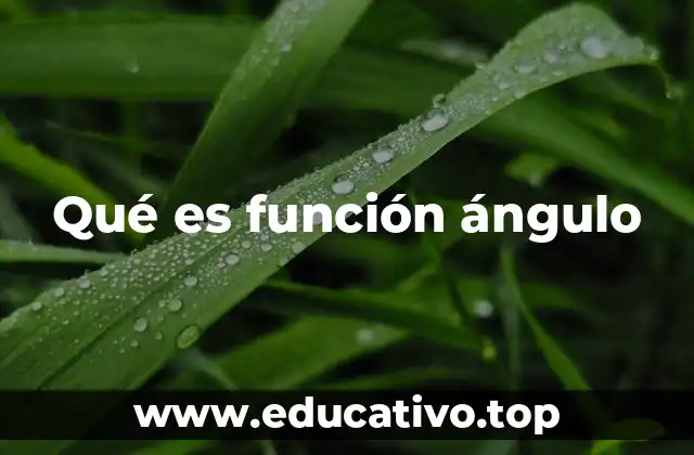 Qué es función ángulo