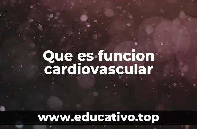 Que es funcion cardiovascular