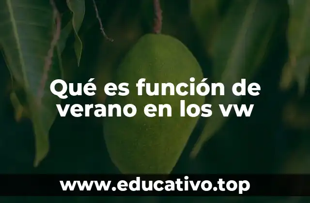 Qué es función de verano en los vw