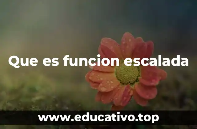 Que es funcion escalada