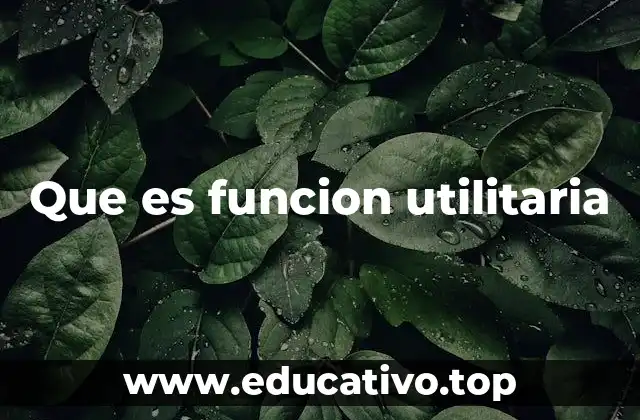 Que es funcion utilitaria