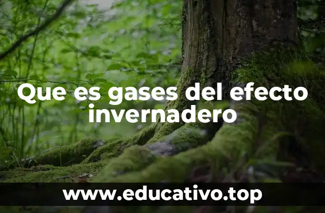 El papel de los gases en el equilibrio térmico global