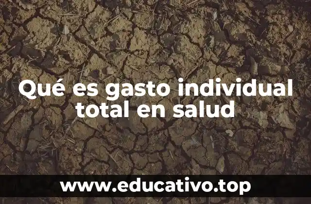 Qué es gasto individual total en salud