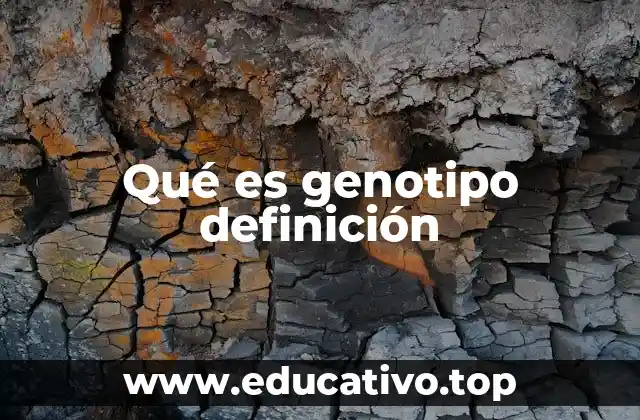 Qué es genotipo definición