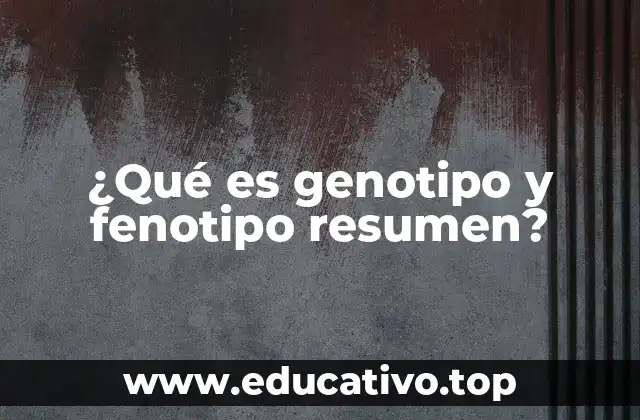 ¿Qué es genotipo y fenotipo resumen?