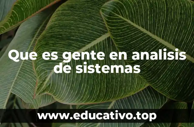 Que es gente en analisis de sistemas