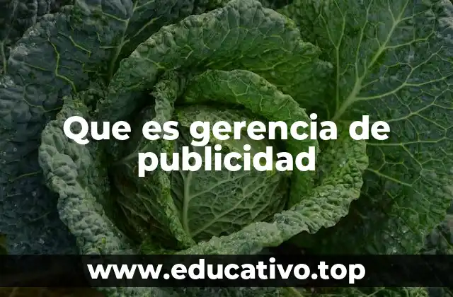 El rol estratégico detrás de las campañas publicitarias