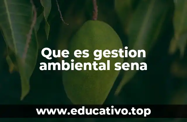 Que es gestion ambiental sena