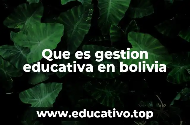Que es gestion educativa en bolivia