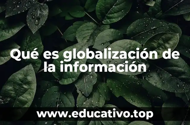 Qué es globalización de la información