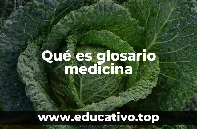 Qué es glosario medicina