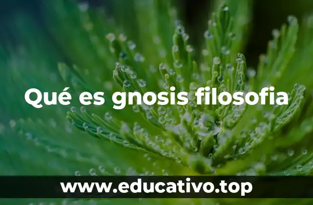 Qué es gnosis filosofia