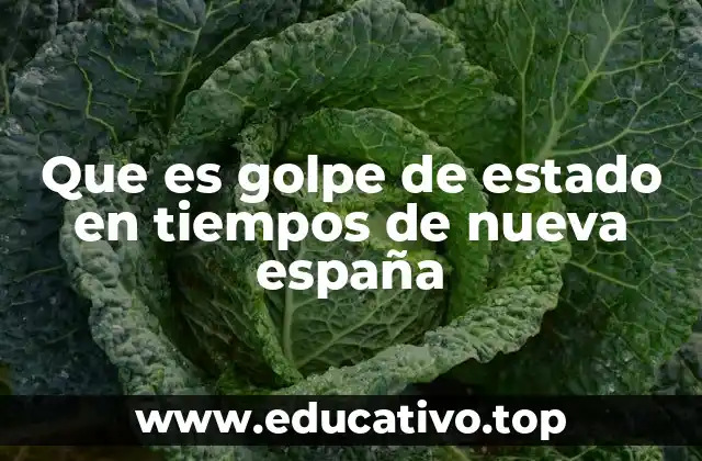 El poder y la autoridad en la Nueva España bajo el sistema colonial