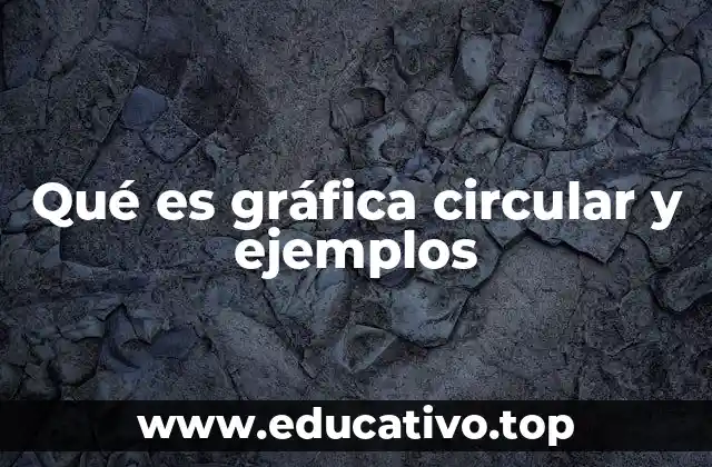 Qué es gráfica circular y ejemplos