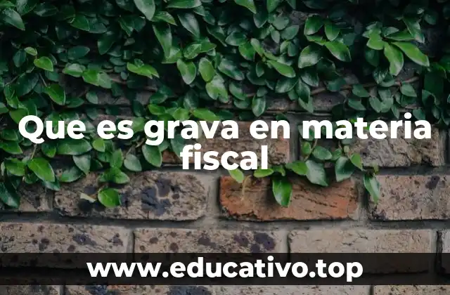 El papel de las gravas en la recaudación estatal