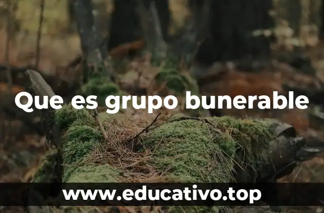 La importancia de identificar a los grupos bunerables en la sociedad