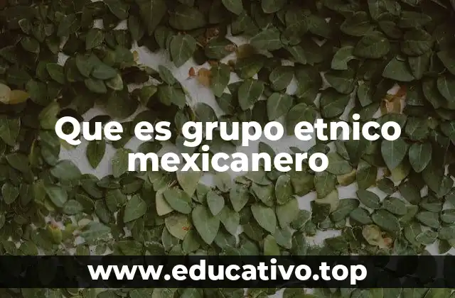 Que es grupo etnico mexicanero