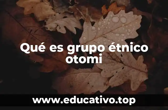 Qué es grupo étnico otomi