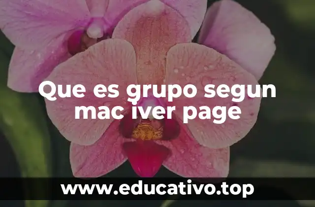 Que es grupo segun mac iver page