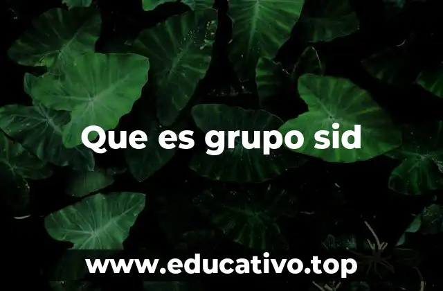 Que es grupo sid