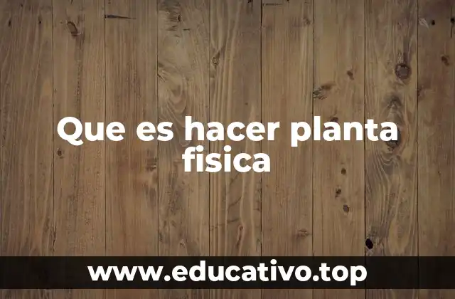 La relación entre la presencia física y la productividad