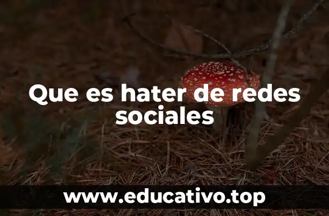 Que es hater de redes sociales