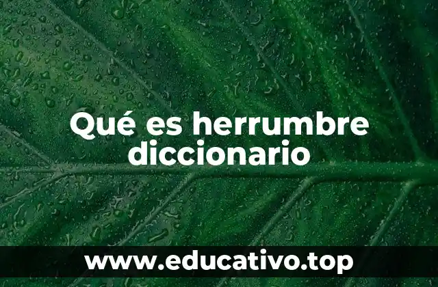 Qué es herrumbre diccionario