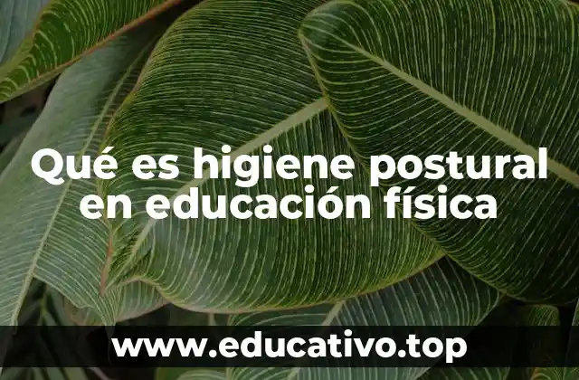Qué es higiene postural en educación física
