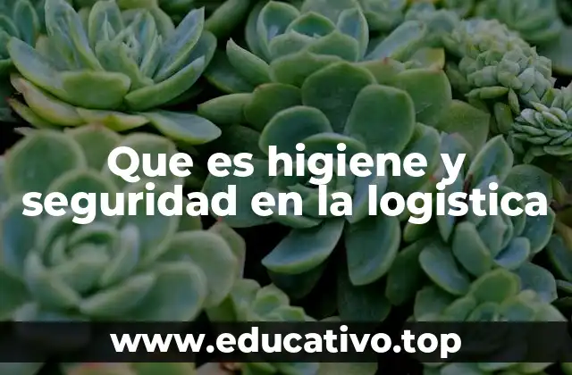 Que es higiene y seguridad en la logistica