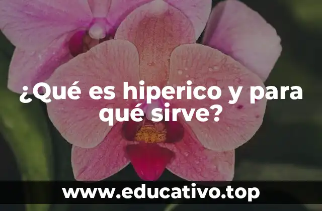 ¿Qué es hiperico y para qué sirve?