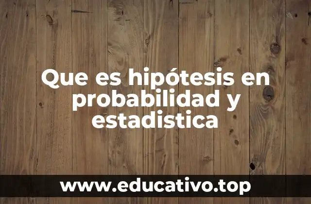 El papel de las hipótesis en el análisis de datos